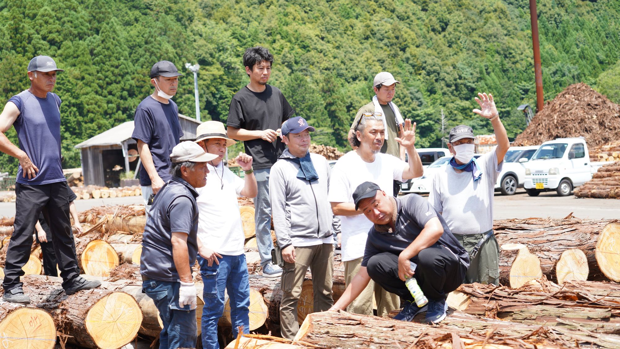 熊野の原木市。積まれた杉丸太の上に買い手が並び、手を挙げて値をつけている